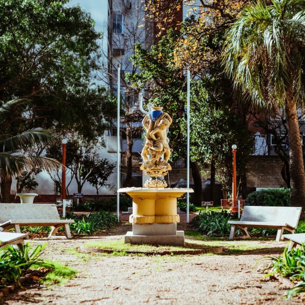 detalles-del-jardn_44031173811_o
